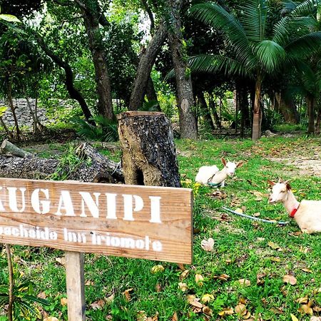 Kuganipi Beachside Inn Iriomote Urauchi Exteriér fotografie